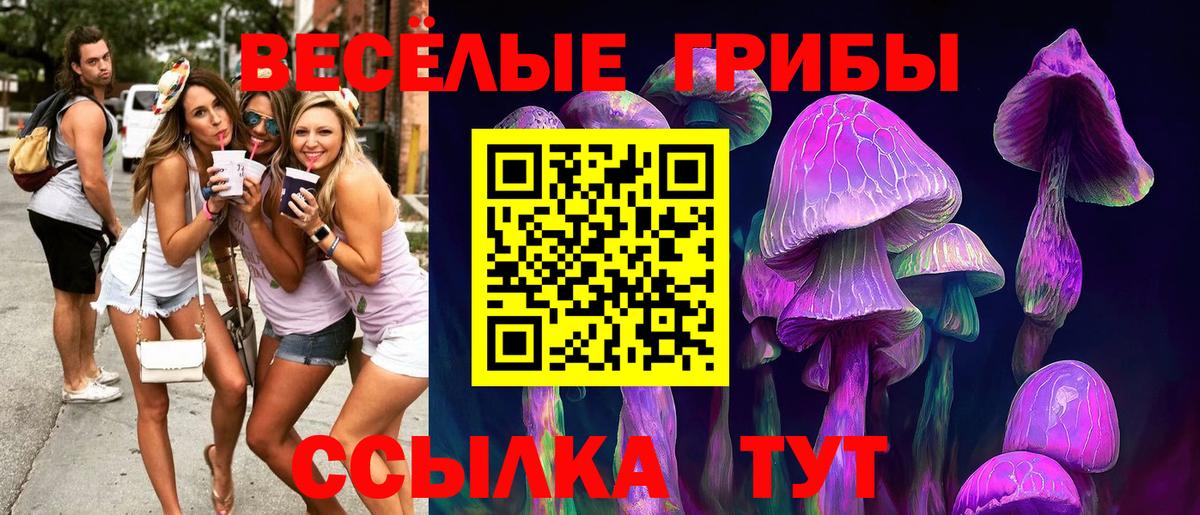 Псилоцибиновые грибы Cubensis  Галлюциногенные грибы мицелий  Вход с VPN  Семёнов 